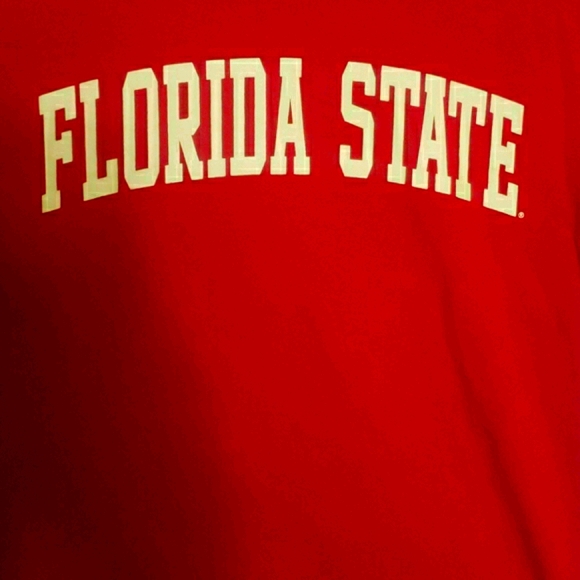 Florida State Shirt For Men - Picture 3 of 4